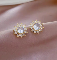 1 pair Earrings